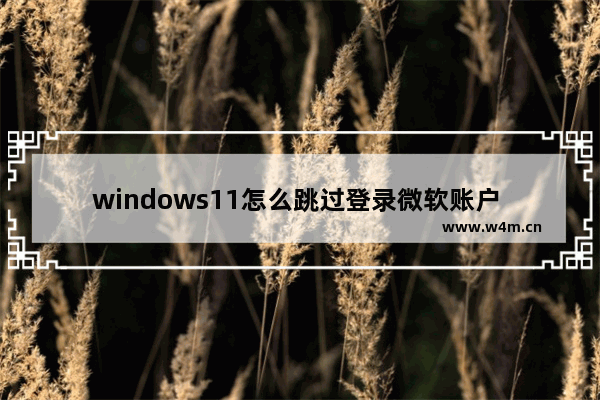 windows11怎么跳过登录微软账户 windows11跳过登录微软账户方法