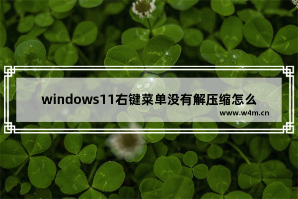 windows11右键菜单没有解压缩怎么解决 windows11右键菜单没有解压缩解决方法