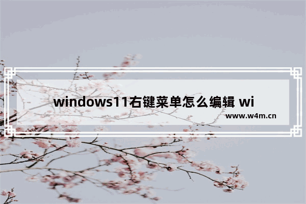 windows11右键菜单怎么编辑 windows11右键菜单编辑方法