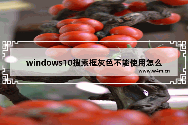 windows10搜索框灰色不能使用怎么办 windows10搜索框灰色不能使用解决方法