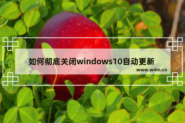 如何彻底关闭windows10自动更新 彻底关闭windows10自动更新方法