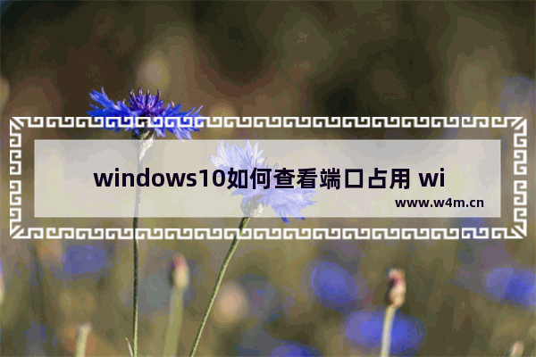 windows10如何查看端口占用 windows10查看端口占用的方法