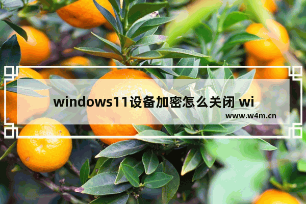 windows11设备加密怎么关闭 windows11设备加密如何关闭