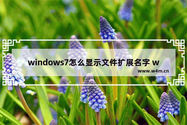 windows7怎么显示文件扩展名字 windows7显示文件扩展名的方法