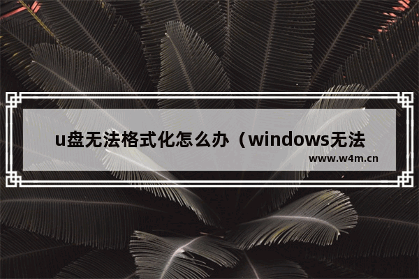 u盘无法格式化怎么办（windows无法格式化u盘解决方案）