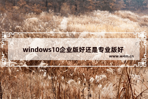 windows10企业版好还是专业版好 windows10企业版和专业版有什么区别