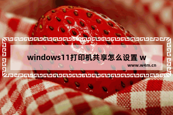 windows11打印机共享怎么设置 windows11打印机共享设置方法操作步骤教学