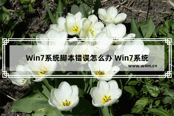 Win7系统脚本错误怎么办 Win7系统脚本错误的解决方法