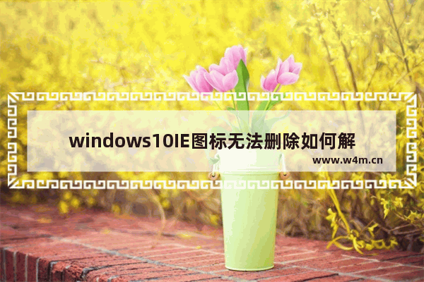 windows10IE图标无法删除如何解决 windows10IE图标无法删除的解决方法