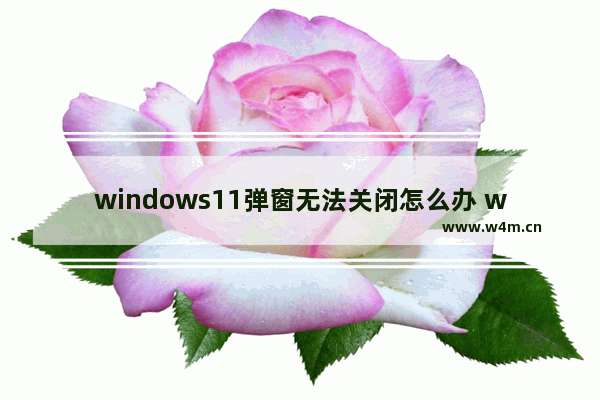 windows11弹窗无法关闭怎么办 windows11弹窗无法关闭解决方法