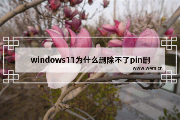 windows11为什么删除不了pin删除是灰色的