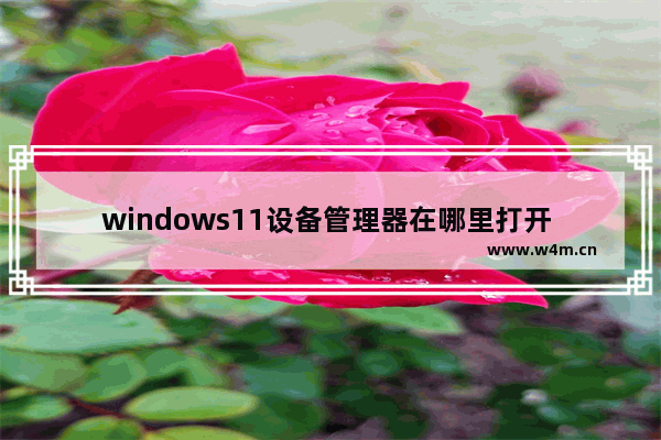 windows11设备管理器在哪里打开 windows11怎么查看设备管理器