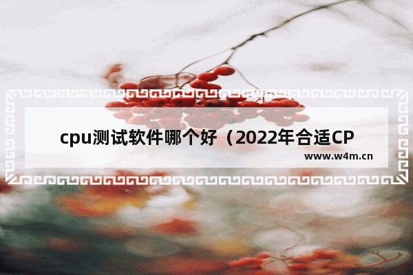 cpu测试软件哪个好（2022年合适CPU基准测试的软件）