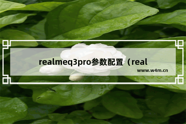 realmeq3pro参数配置（realme真我q3pro狂欢版值得入手吗）