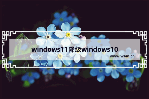 windows11降级windows10保留资料吗 windows11降级windows10会清除数据吗