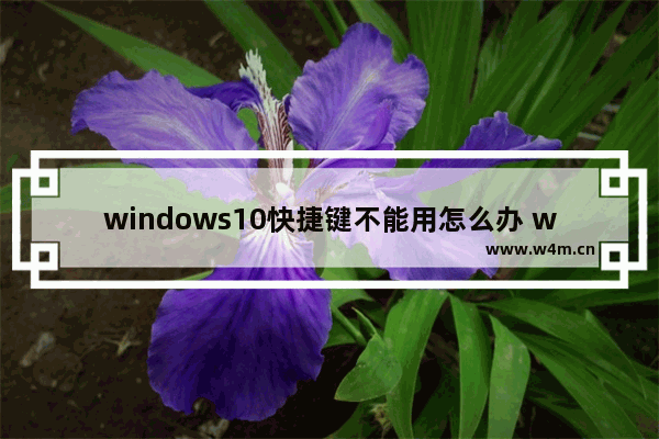 windows10快捷键不能用怎么办 windows10快捷键不能用解决方法