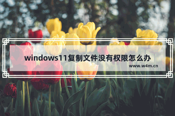 windows11复制文件没有权限怎么办 windows11复制文件没有权限解决方法