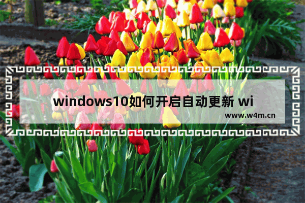 windows10如何开启自动更新 windows10开启自动更新的方法