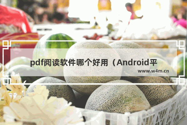 pdf阅读软件哪个好用（Android平台最好用的PDF阅读器是什么）