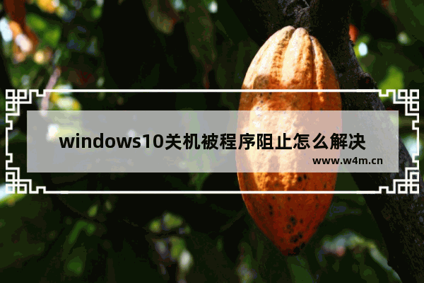 windows10关机被程序阻止怎么解决 windows10关机被程序阻止如何解决