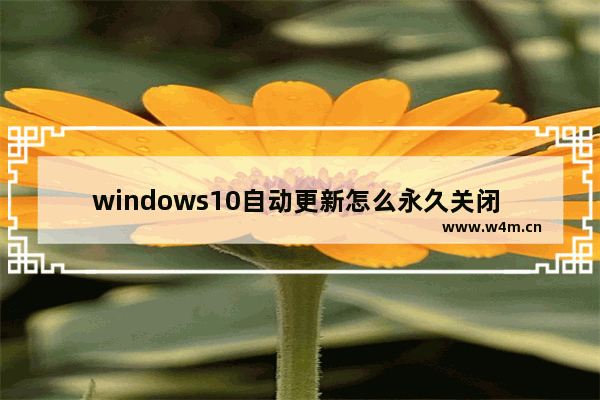 windows10自动更新怎么永久关闭 windows10自动更新永久关闭的方法