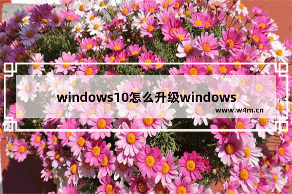 windows10怎么升级windows11 windows10升级windows11的方法