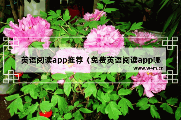 英语阅读app推荐（免费英语阅读app哪个最好用）