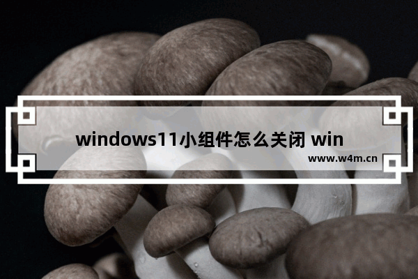 windows11小组件怎么关闭 windows11小组件关闭方法