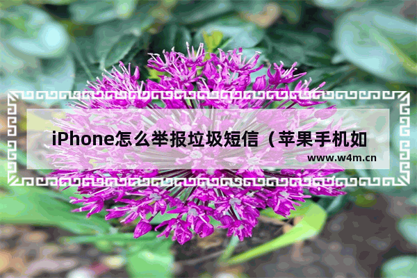 iPhone怎么举报垃圾短信（苹果手机如何彻底屏蔽垃圾短信）