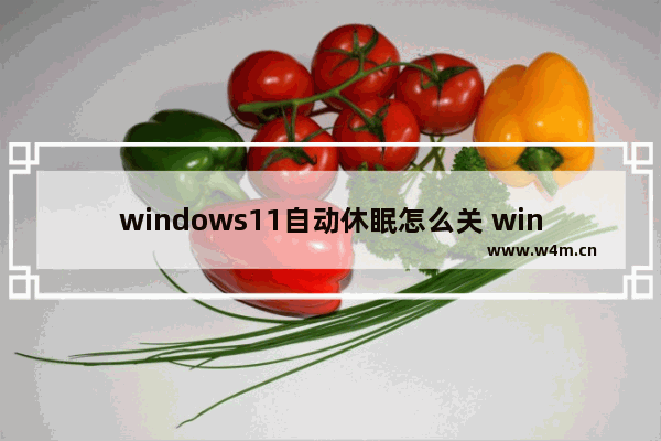 windows11自动休眠怎么关 windows11关闭自动休眠的方法