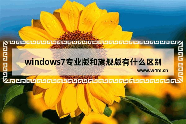 windows7专业版和旗舰版有什么区别 windows7专业版和旗舰版哪个好