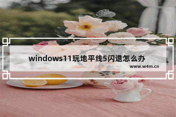 windows11玩地平线5闪退怎么办 windows11玩地平线5闪退的解决方法