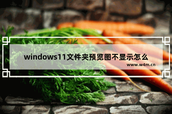 windows11文件夹预览图不显示怎么办 windows11文件夹预览图不显示的解决方法