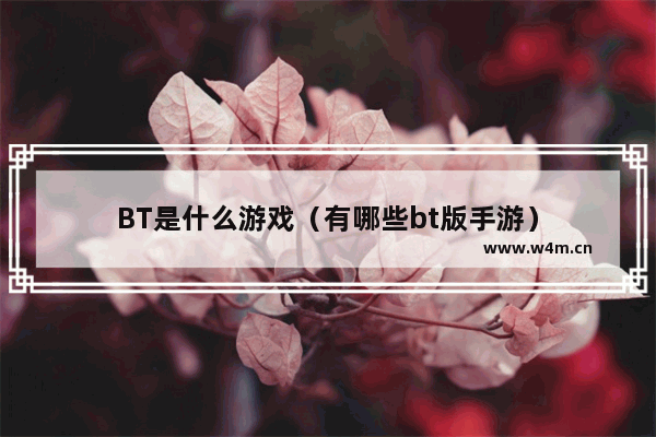 BT是什么游戏（有哪些bt版手游）