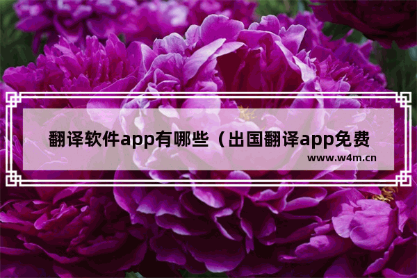 翻译软件app有哪些（出国翻译app免费哪个好）