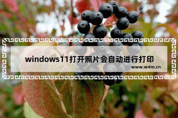 windows11打开照片会自动进行打印怎么回事 windows11打开照片会自动进行打印解决办法