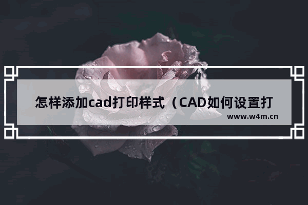 怎样添加cad打印样式（CAD如何设置打印样式）