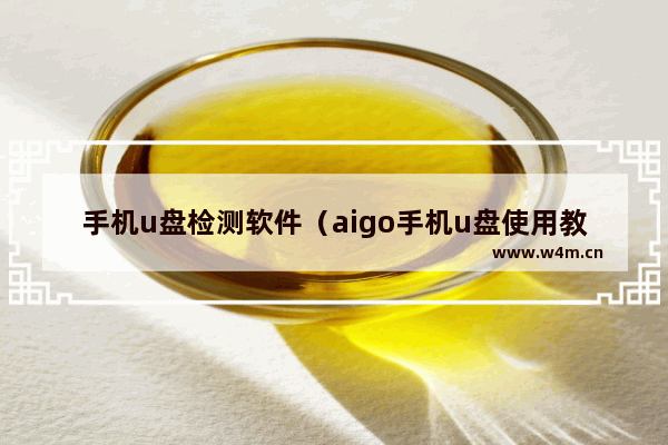 手机u盘检测软件（aigo手机u盘使用教程）