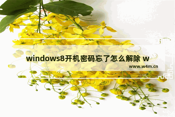 windows8开机密码忘了怎么解除 windows8开机密码忘了解决方法