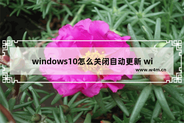 windows10怎么关闭自动更新 windows10关闭自动更新方法