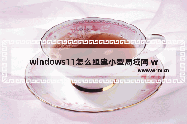 windows11怎么组建小型局域网 windows11组建小型局域网方法