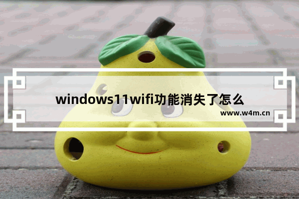 windows11wifi功能消失了怎么办 windows11wifi功能消失了是什么原因