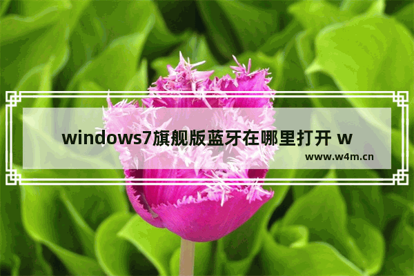 windows7旗舰版蓝牙在哪里打开 windows7旗舰版蓝牙打开教程