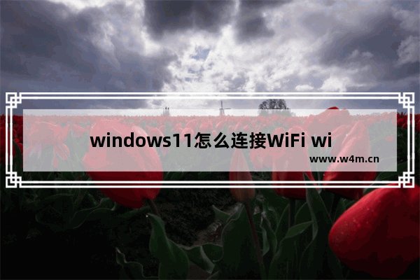 windows11怎么连接WiFi windows11连接WiFi教程