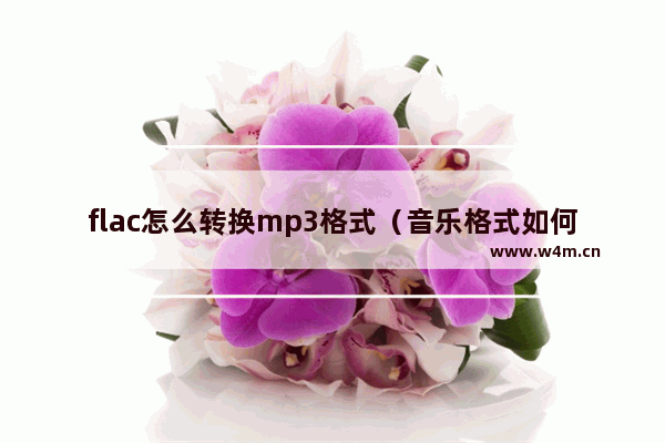 flac怎么转换mp3格式（音乐格式如何从flac转换成mp3格式）