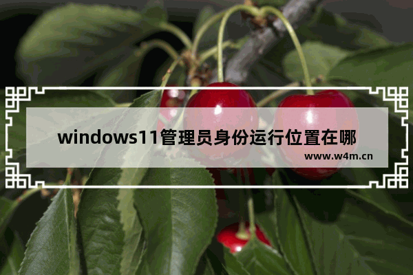 windows11管理员身份运行位置在哪 windows11管理员身份运行位置介绍