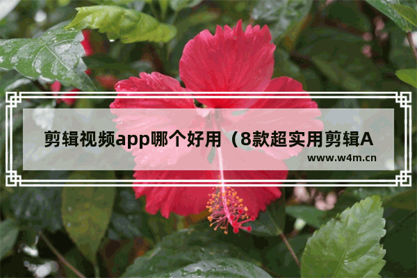 剪辑视频app哪个好用（8款超实用剪辑App全方位评测）