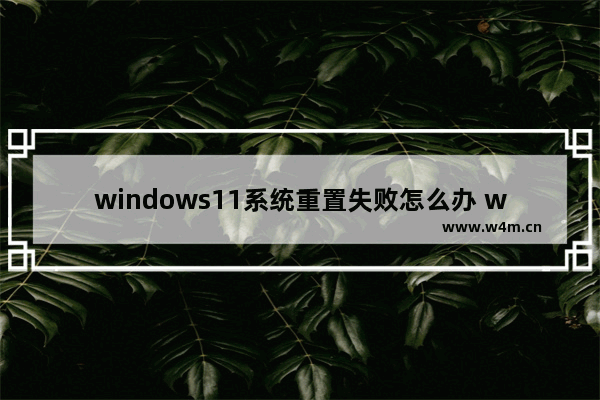 windows11系统重置失败怎么办 windows11系统重置失败解决方法