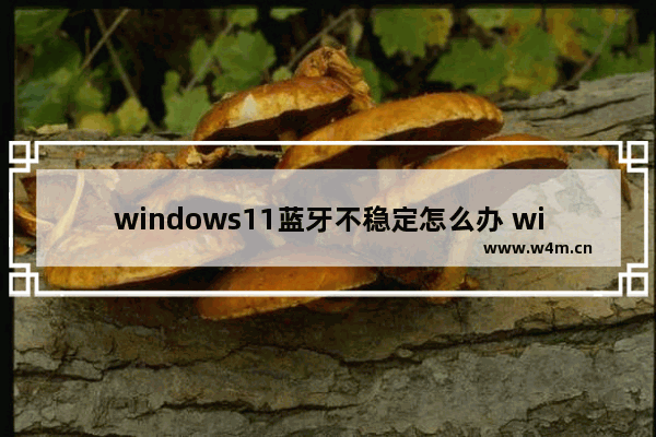 windows11蓝牙不稳定怎么办 windows11蓝牙不稳定解决方法