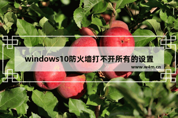 windows10防火墙打不开所有的设置都是灰色的怎么办 windows10防火墙打不开所有的设置都是灰色的解决方法